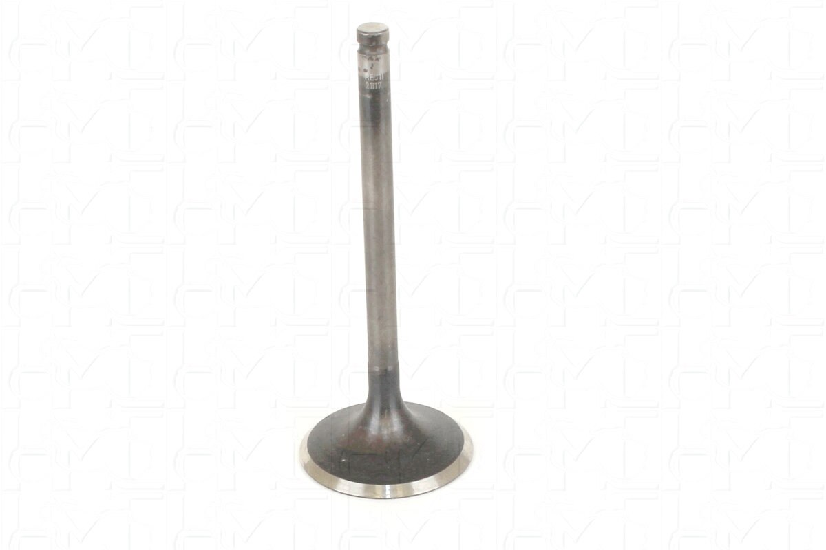 Rlf Rigid Inlet VALVE-INLET (KIDNEY BEAN)